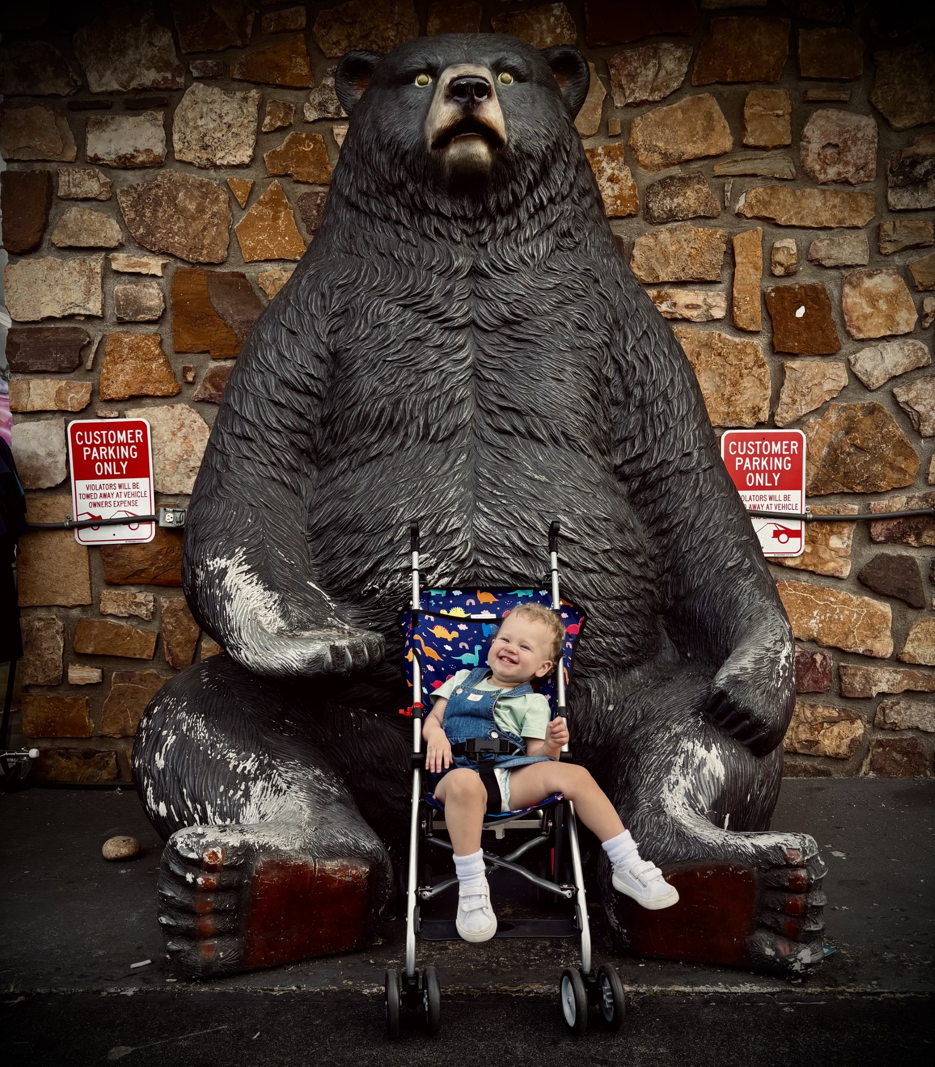 Tennessee photo 3
